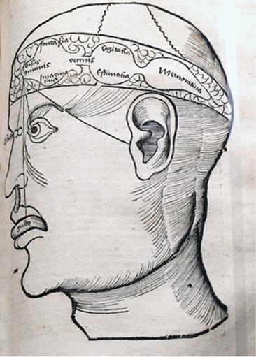 Afbeelding (zwartwit) van Margarita Philosophica cum Additionibus Novis, 1517 met lokalisatie van de functies van de ziel